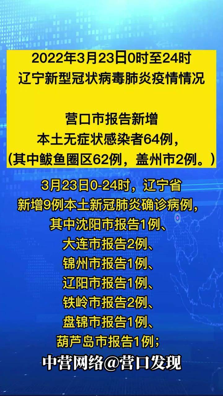 辽宁肺炎疫情最新动态，挑战与应对策略