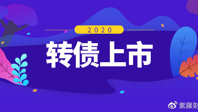 龙大转债最新公告全面解析